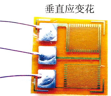 BSF120-2BB-T常溫雙軸應(yīng)變片.jpg