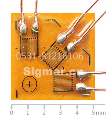 BSF120-1.0CA-T2常溫三軸應(yīng)變片-(2).jpg