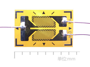 BSF120-2HA-T常溫雙軸應(yīng)變片.jpg